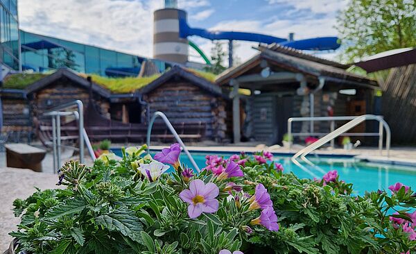 Blumen vor einem Pool im Außenbereich vom Titania Neusäß 