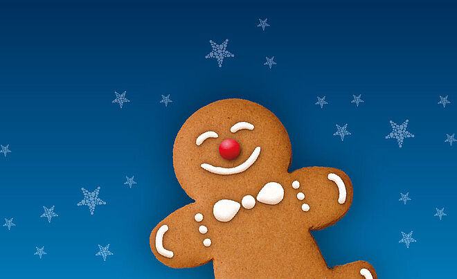 Lächender Lebkuchenmann mit Schneeflocken im Hintergrund. Weiterverlinkung zu swa City Aktuelles Seite